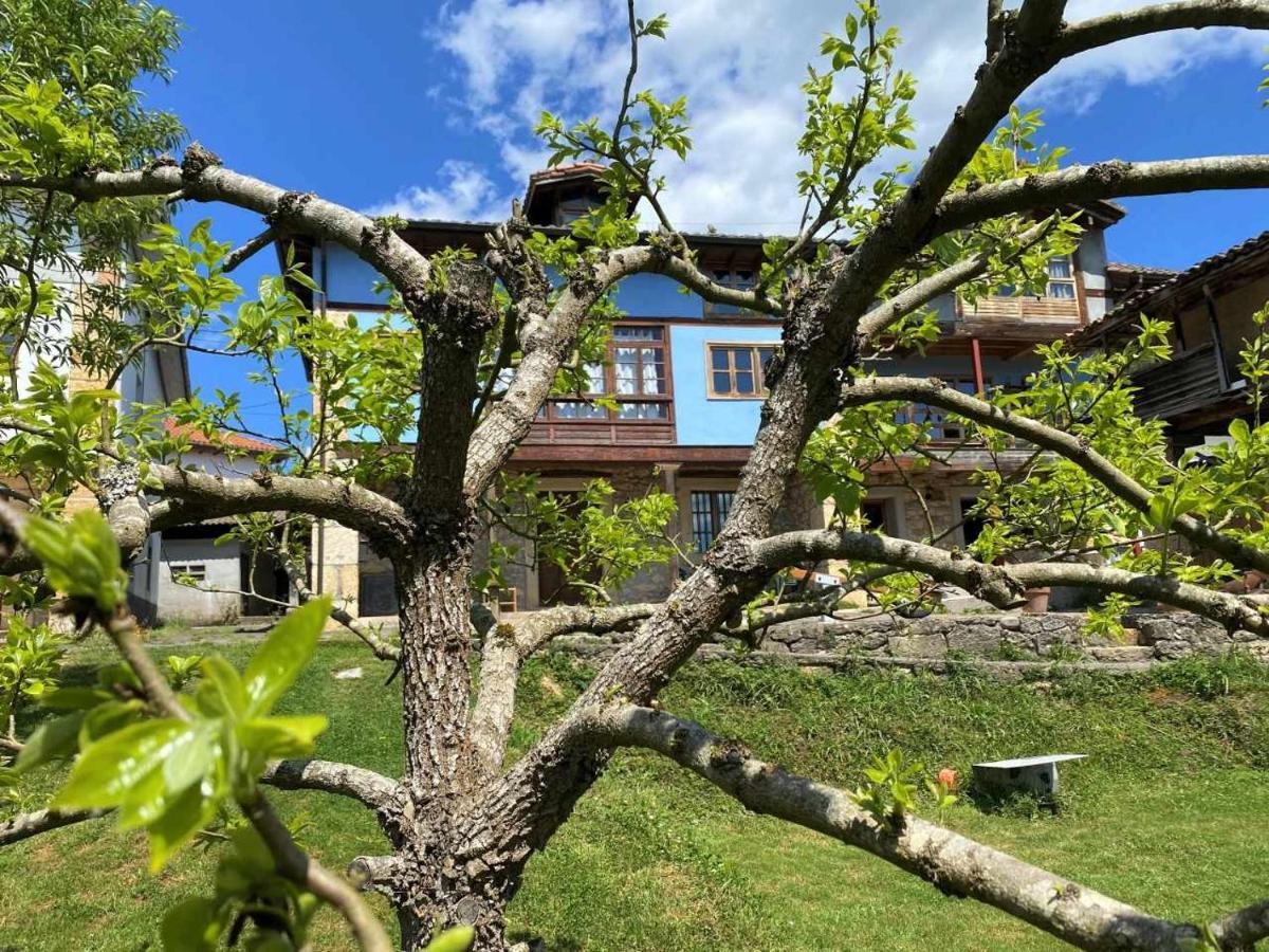 Casa Rural El Bohio Arriondas Exterior foto
